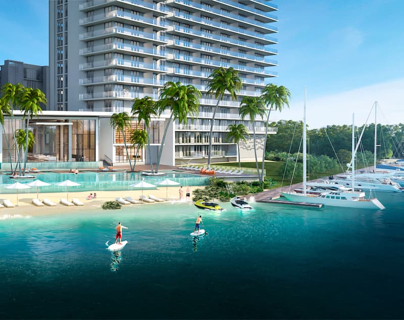 The Harbour view